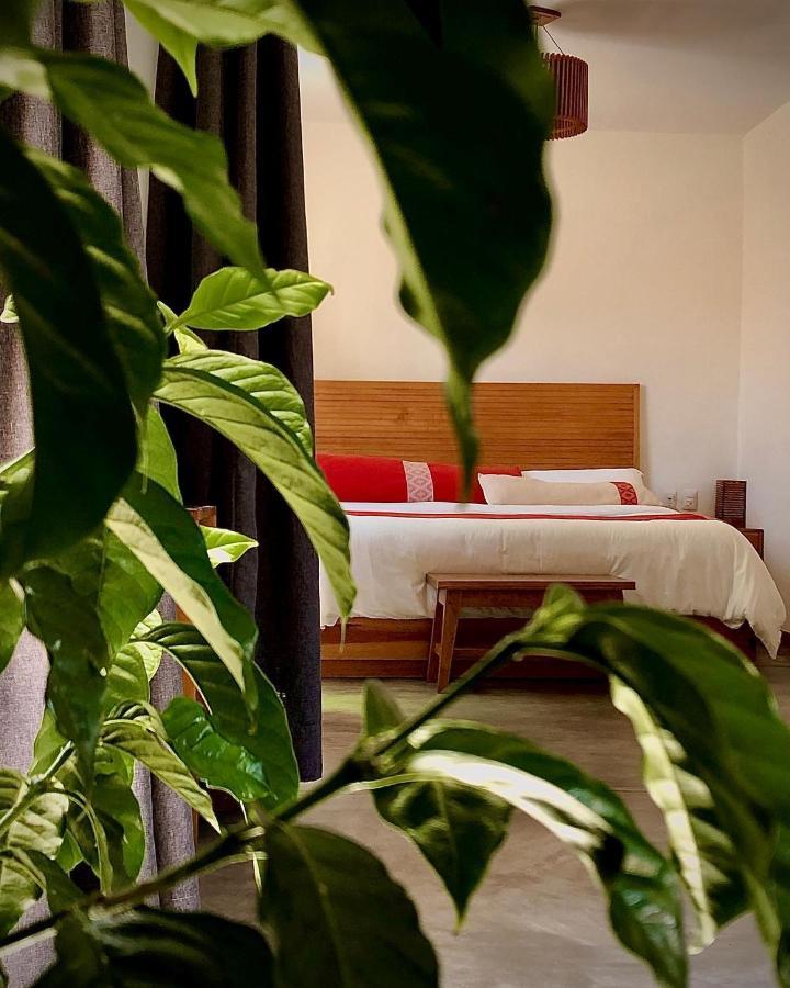 Casa Cafeologo Ξενοδοχείο San Cristóbal de Las Casas Εξωτερικό φωτογραφία
