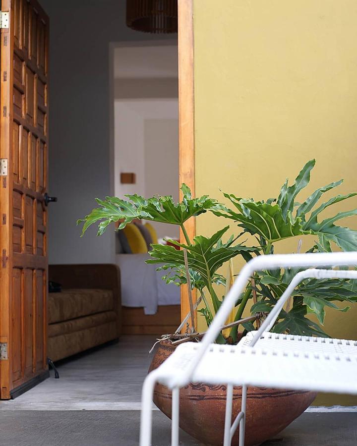 Casa Cafeologo Ξενοδοχείο San Cristóbal de Las Casas Εξωτερικό φωτογραφία