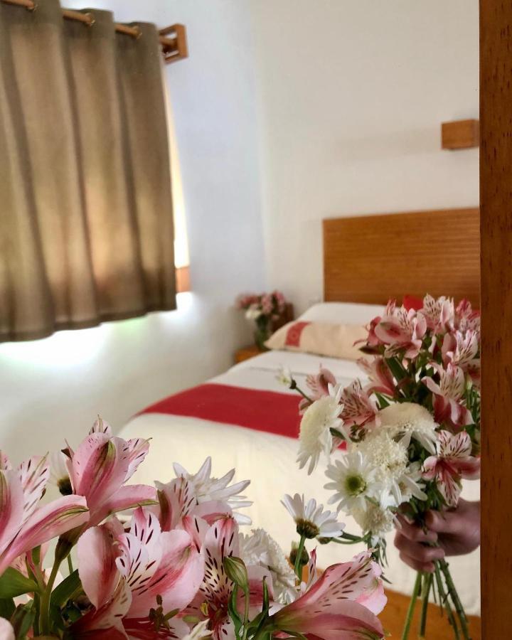 Casa Cafeologo Ξενοδοχείο San Cristóbal de Las Casas Εξωτερικό φωτογραφία