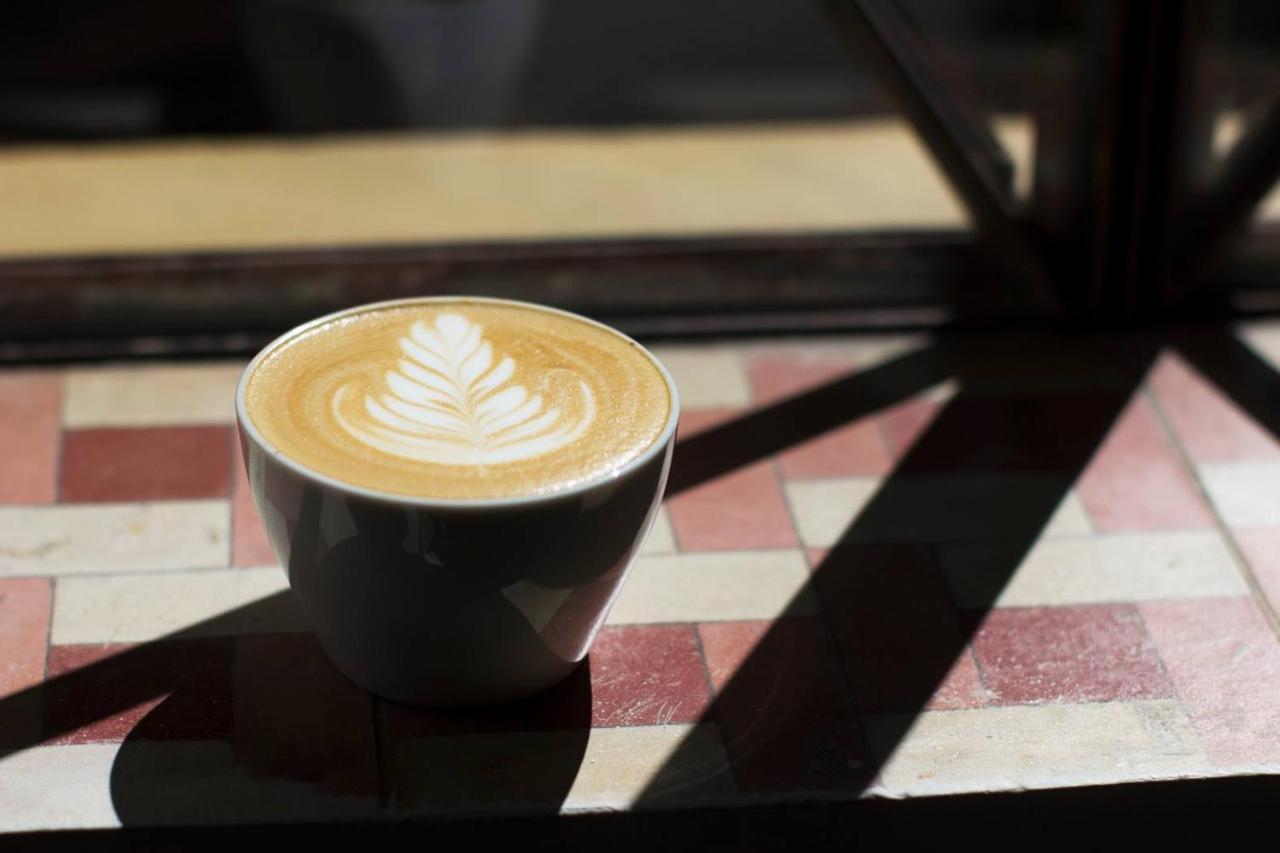 Casa Cafeologo Ξενοδοχείο San Cristóbal de Las Casas Εξωτερικό φωτογραφία